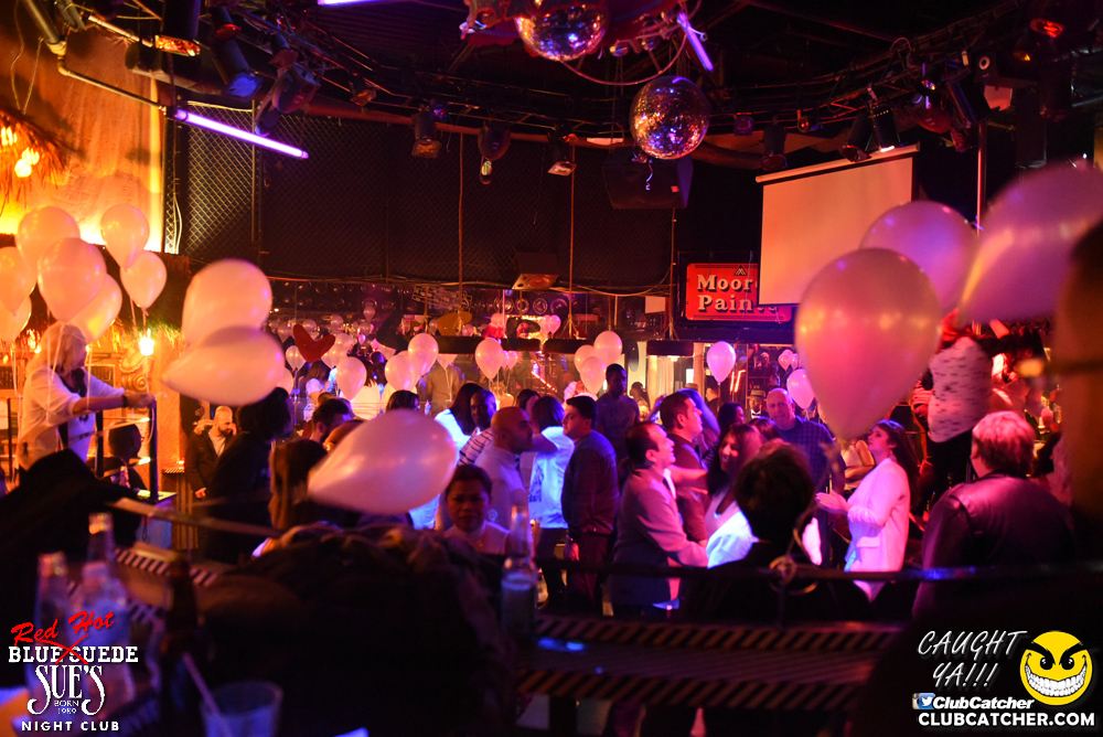 Blue Suede Sues nightclub photo 92 - January 13th, 2017