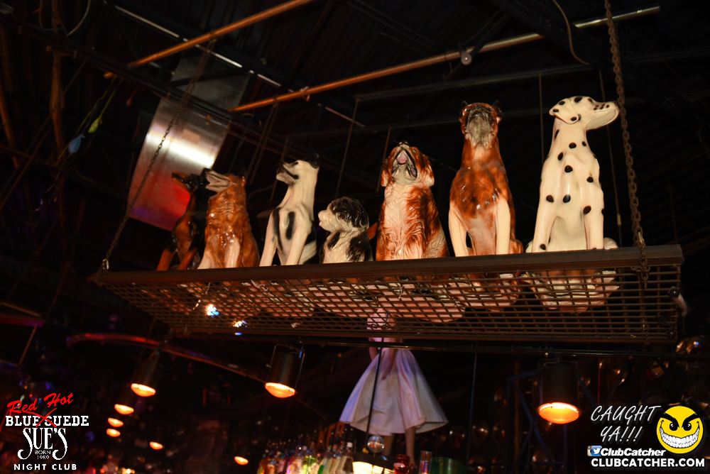 Blue Suede Sues nightclub photo 94 - January 13th, 2017