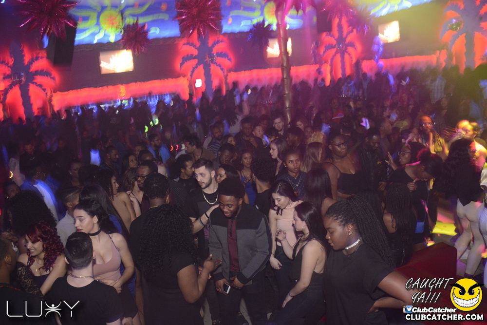 Luxy nightclub photo 1 - January 27th, 2017