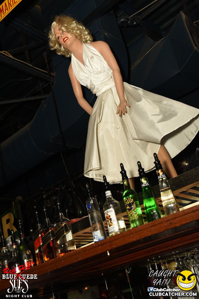 Blue Suede Sues nightclub photo 230 - February 11th, 2017