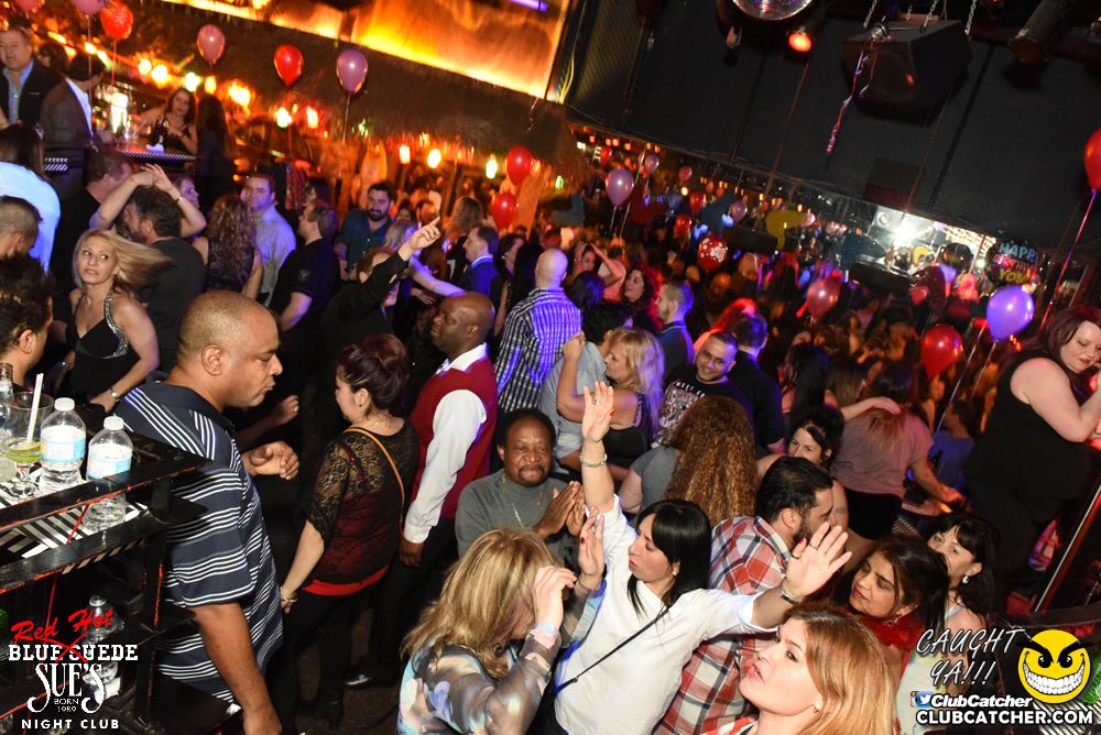 Blue Suede Sues nightclub photo 43 - February 11th, 2017