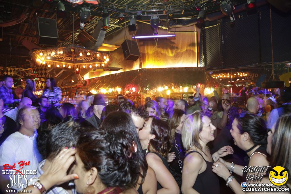 Blue Suede Sues nightclub photo 1 - April 1st, 2017