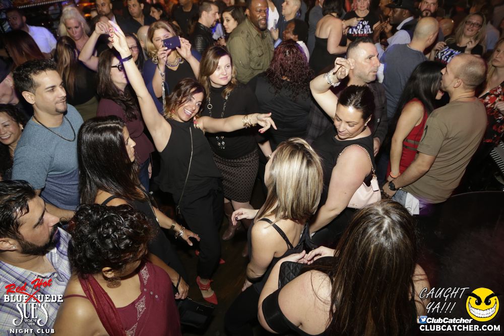 Blue Suede Sues nightclub photo 24 - April 1st, 2017