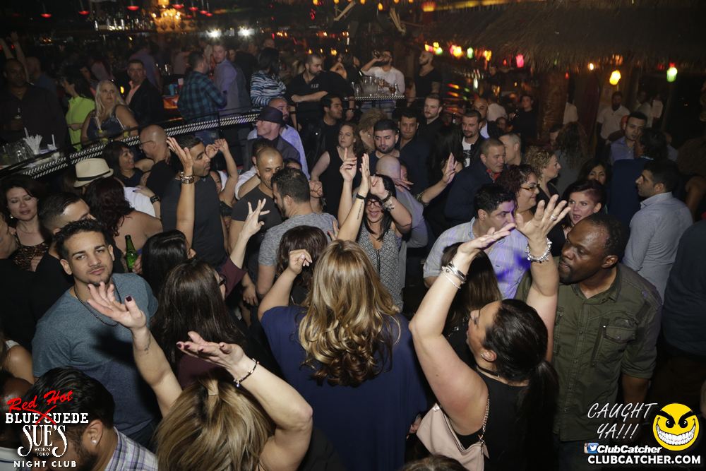 Blue Suede Sues nightclub photo 26 - April 1st, 2017