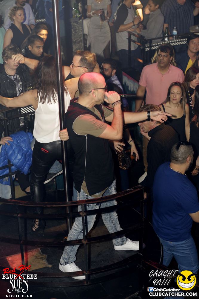 Blue Suede Sues nightclub photo 31 - April 1st, 2017