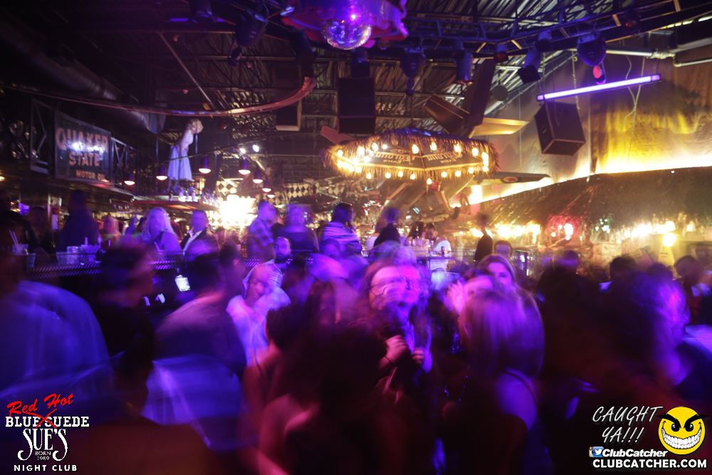 Blue Suede Sues nightclub photo 90 - April 1st, 2017