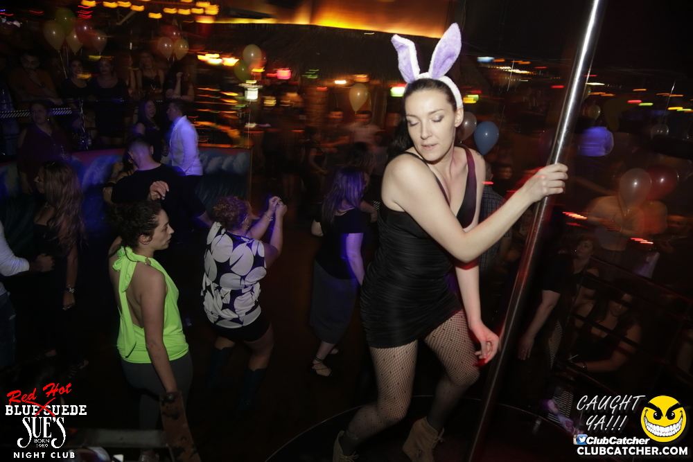 Blue Suede Sues nightclub photo 148 - April 13th, 2017