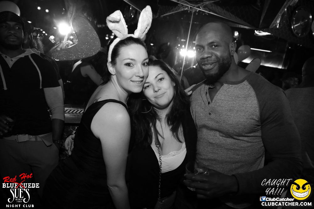 Blue Suede Sues nightclub photo 235 - April 13th, 2017