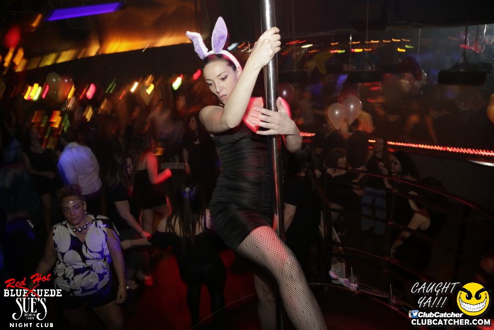 Blue Suede Sues nightclub photo 68 - April 13th, 2017