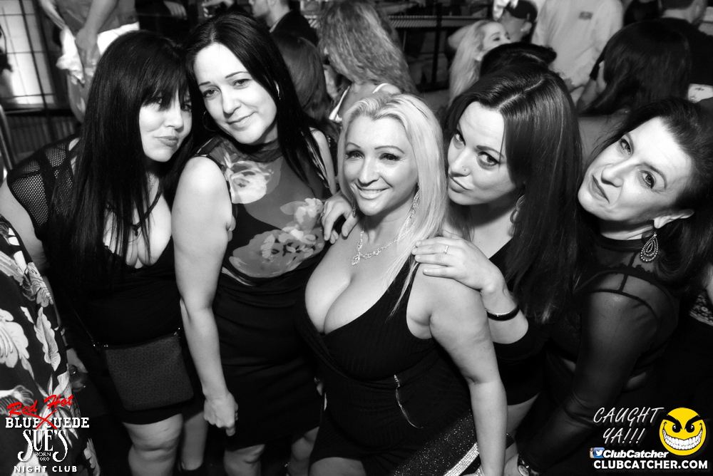 Blue Suede Sues nightclub photo 406 - April 28th, 2017