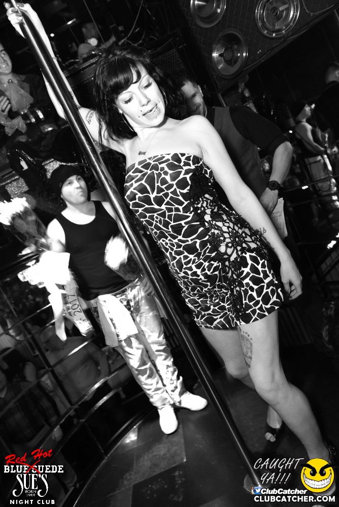 Blue Suede Sues nightclub photo 94 - April 28th, 2017