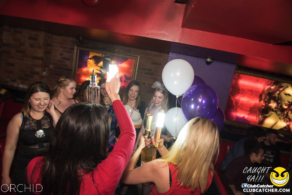 Orchid nightclub photo 160 - June 22nd, 2019