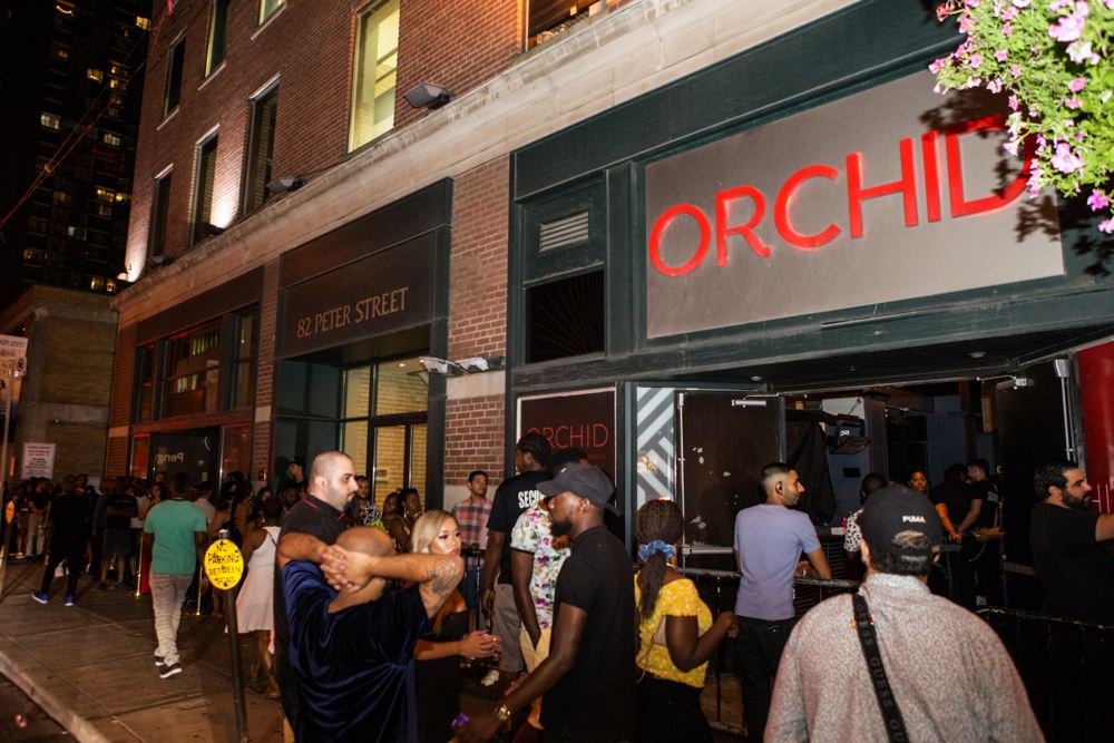 Orchid nightclub photo 81 - August 3rd, 2019
