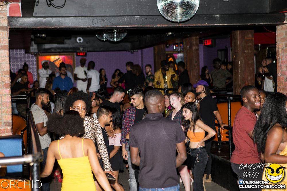 Orchid nightclub photo 1 - August 10th, 2019