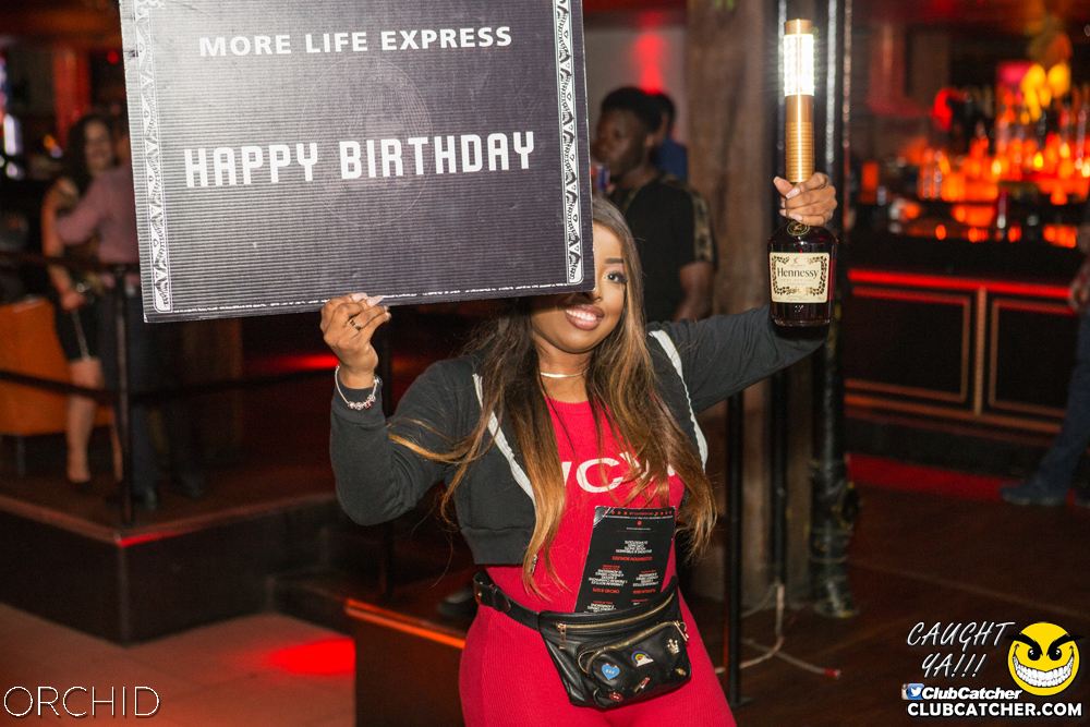 Orchid nightclub photo 12 - August 10th, 2019