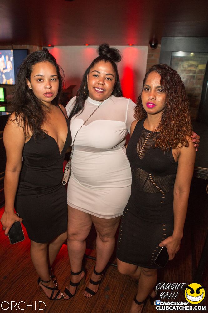 Orchid nightclub photo 13 - August 10th, 2019
