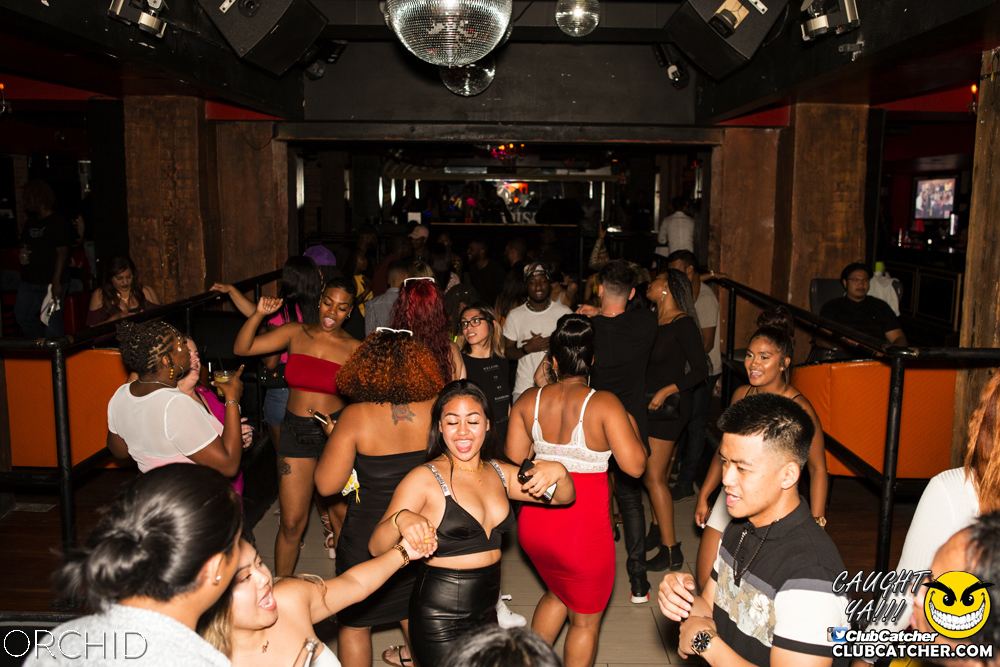 Orchid nightclub photo 17 - August 10th, 2019