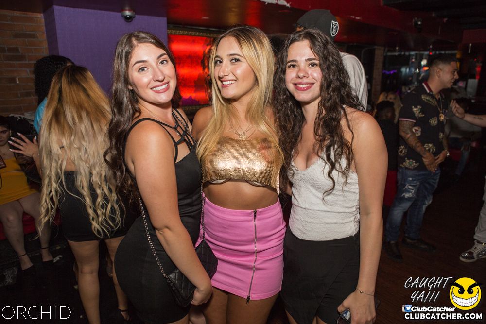 Orchid nightclub photo 3 - August 10th, 2019