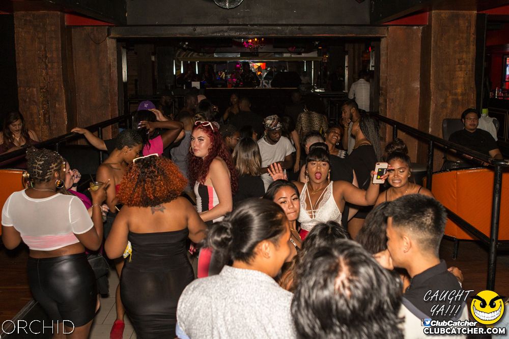 Orchid nightclub photo 27 - August 10th, 2019
