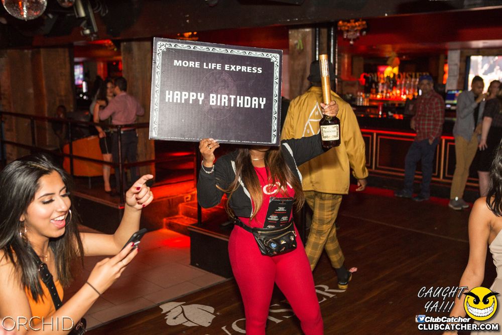 Orchid nightclub photo 31 - August 10th, 2019
