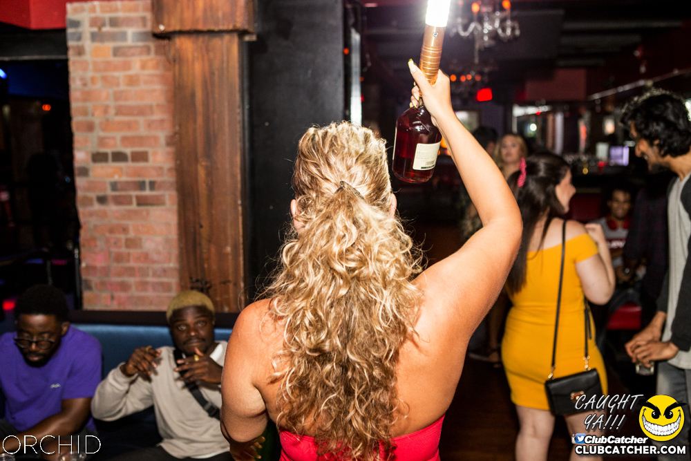 Orchid nightclub photo 37 - August 10th, 2019