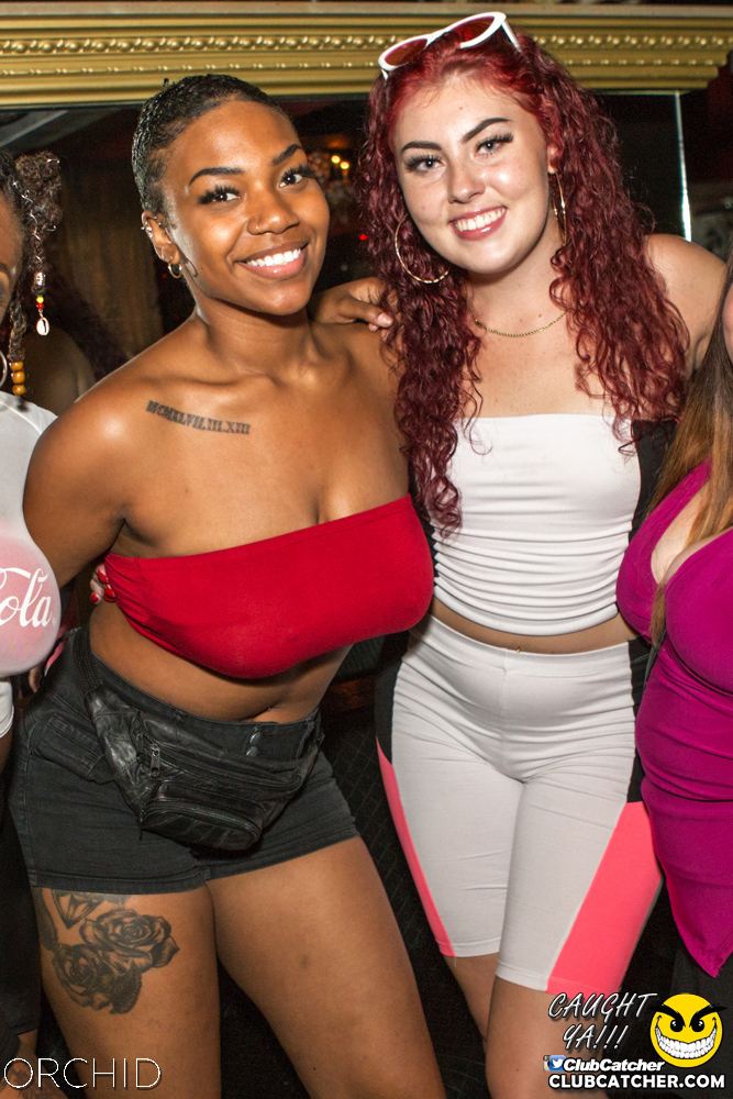 Orchid nightclub photo 39 - August 10th, 2019