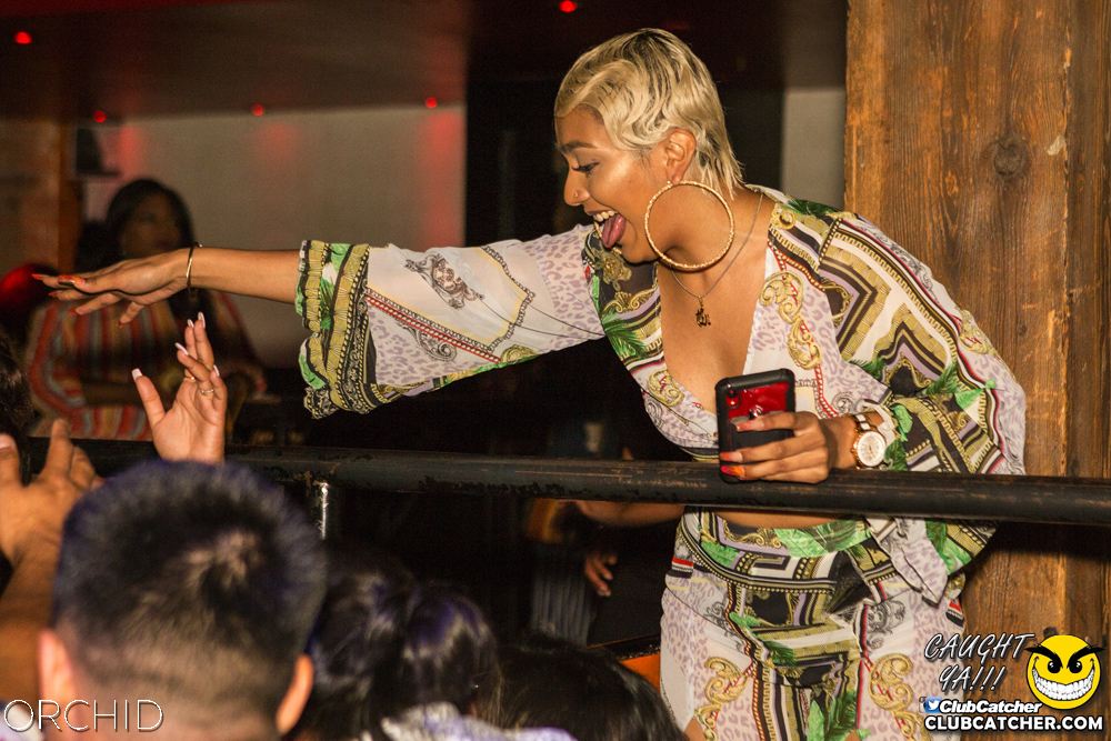 Orchid nightclub photo 5 - August 10th, 2019