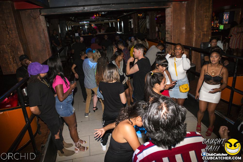 Orchid nightclub photo 41 - August 10th, 2019