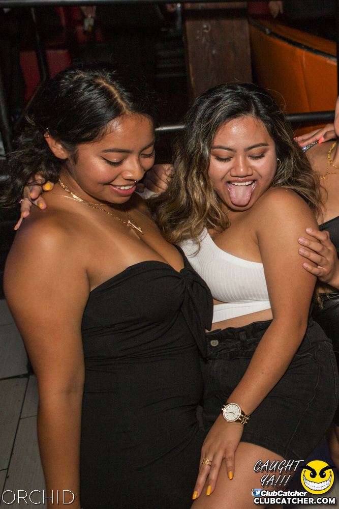 Orchid nightclub photo 42 - August 10th, 2019