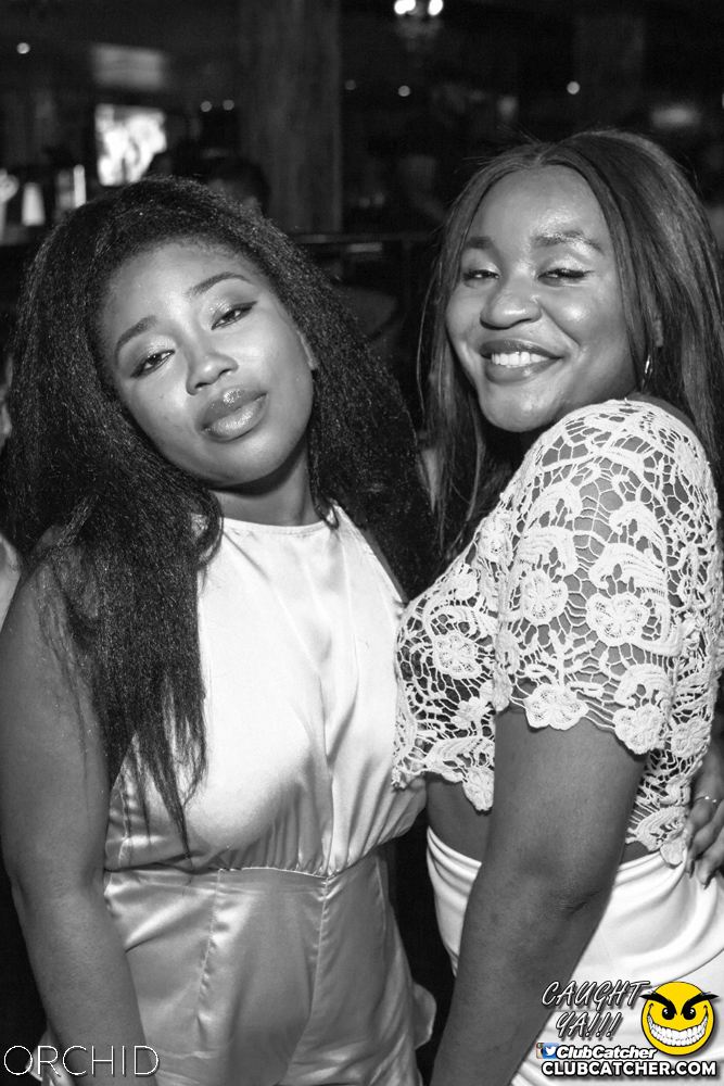 Orchid nightclub photo 43 - August 10th, 2019