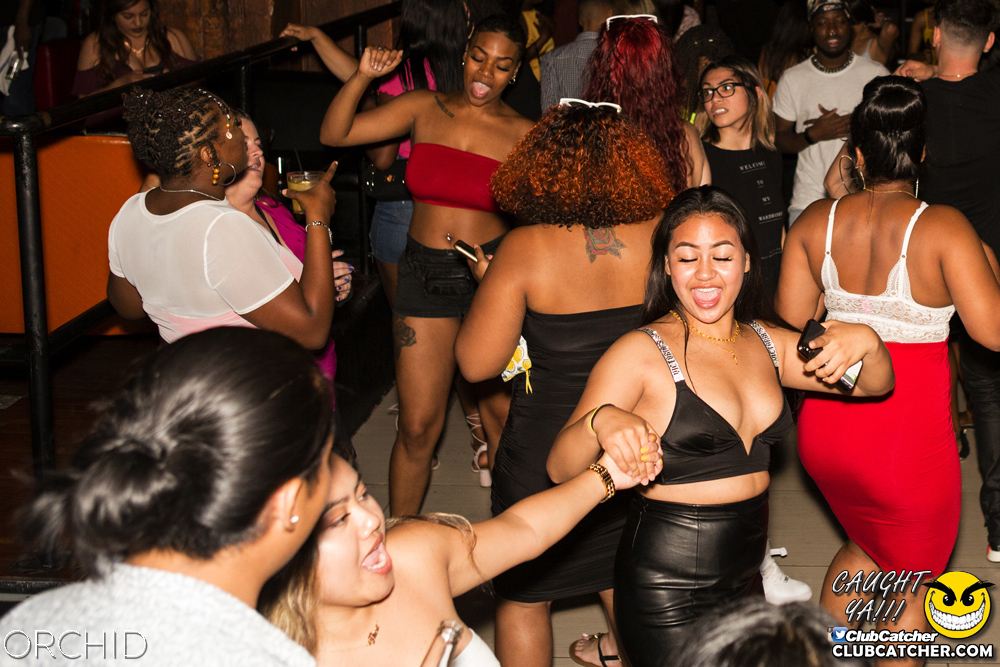 Orchid nightclub photo 47 - August 10th, 2019