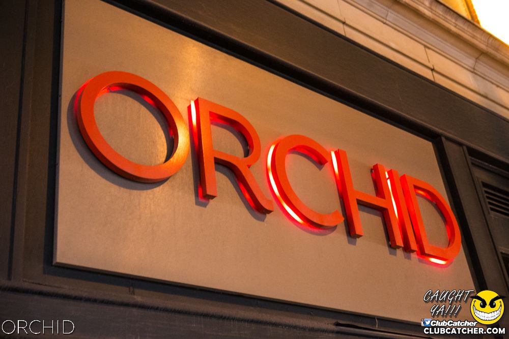 Orchid nightclub photo 6 - August 10th, 2019