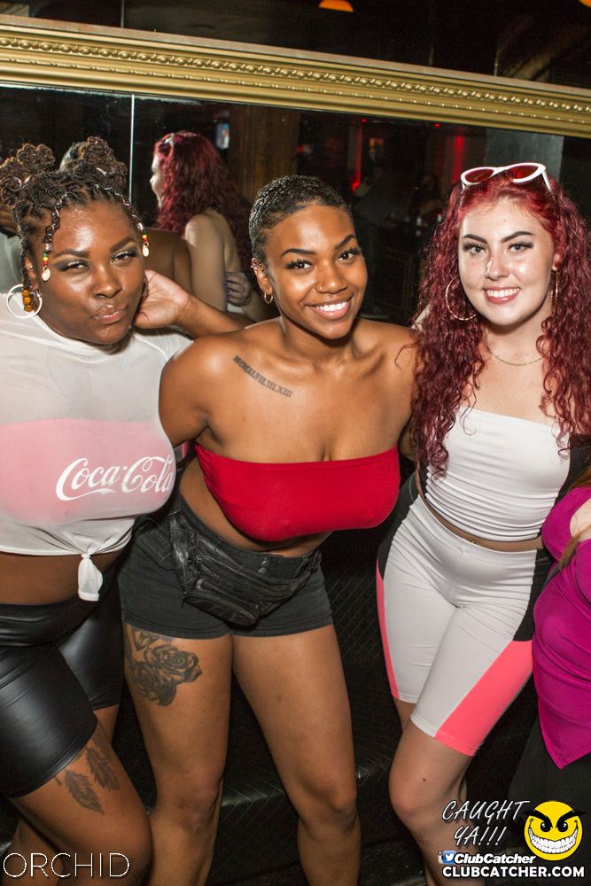 Orchid nightclub photo 54 - August 10th, 2019