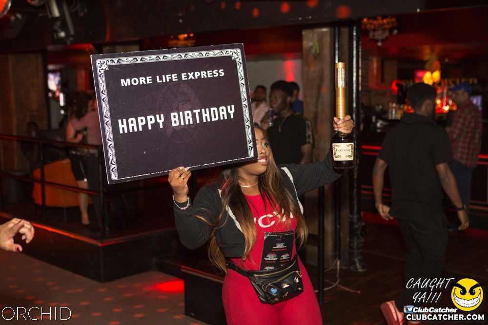 Orchid nightclub photo 60 - August 10th, 2019