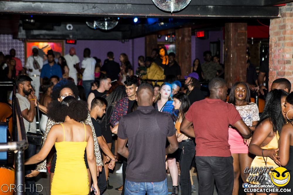 Orchid nightclub photo 61 - August 10th, 2019