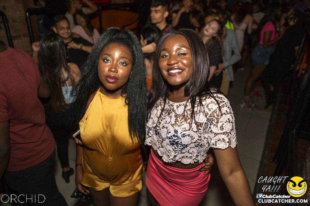Orchid nightclub photo 67 - August 10th, 2019