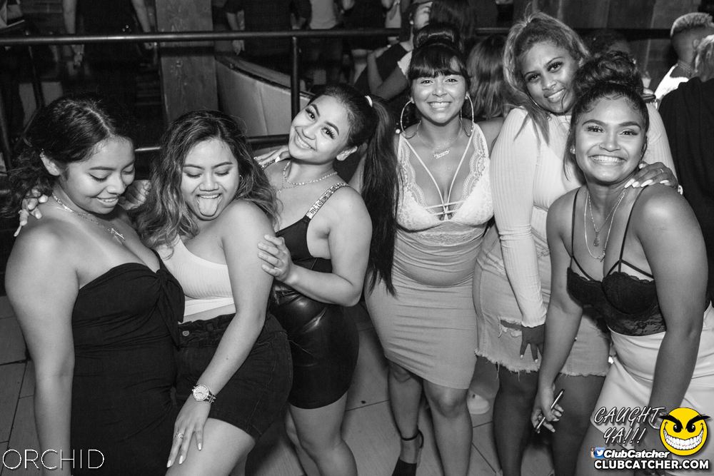 Orchid nightclub photo 69 - August 10th, 2019