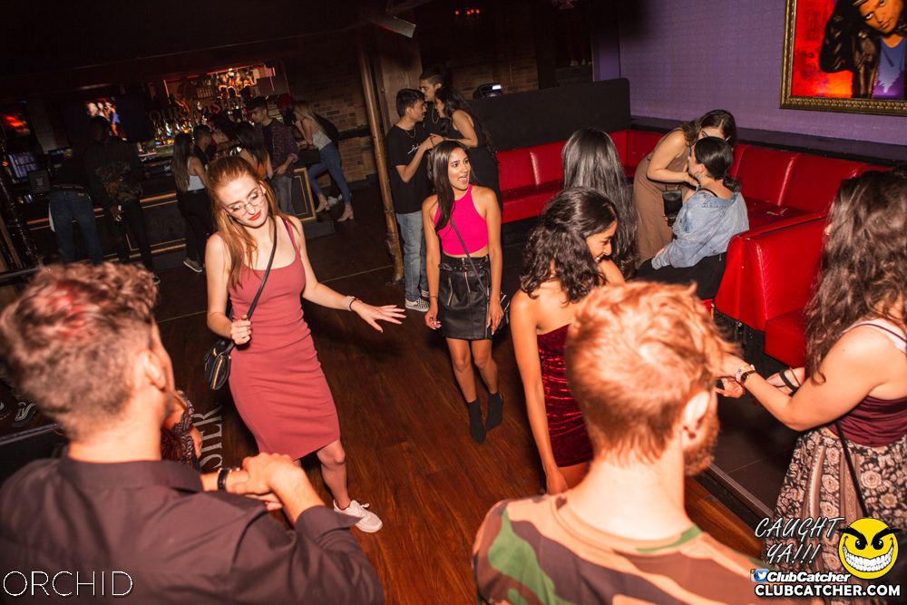 Orchid nightclub photo 70 - August 10th, 2019