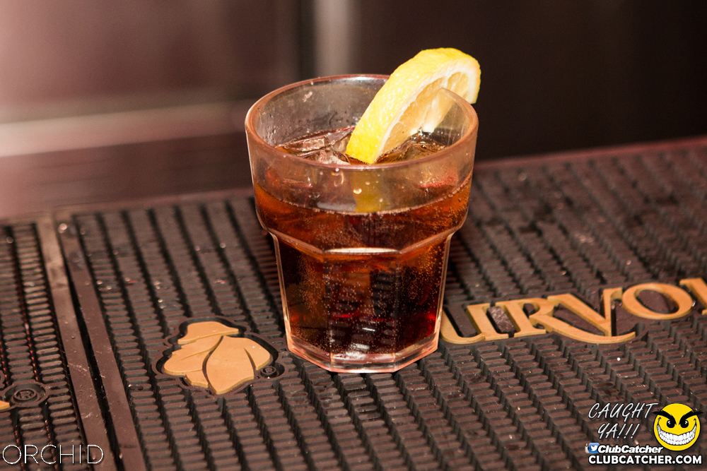 Orchid nightclub photo 75 - August 10th, 2019