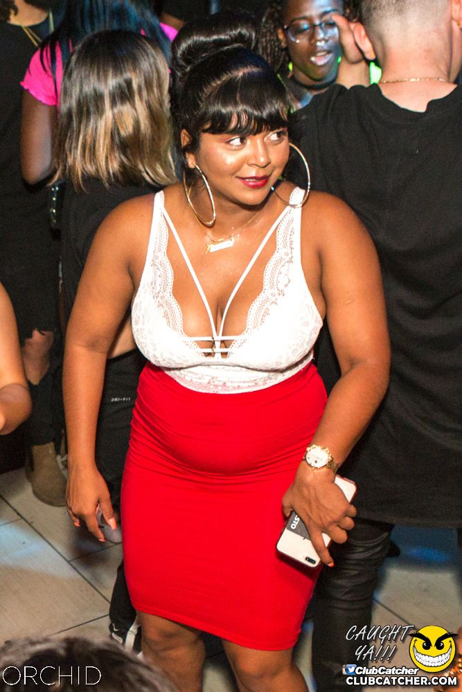Orchid nightclub photo 78 - August 10th, 2019