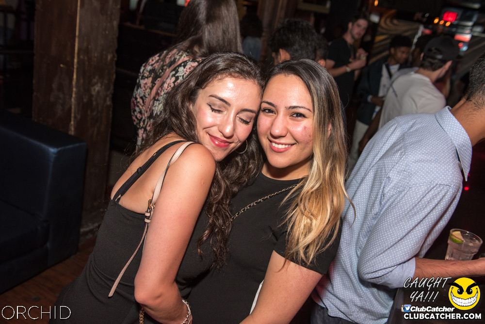 Orchid nightclub photo 104 - August 24th, 2019