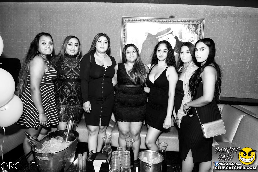 Orchid nightclub photo 107 - August 24th, 2019