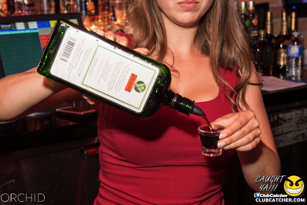 Orchid nightclub photo 109 - August 24th, 2019