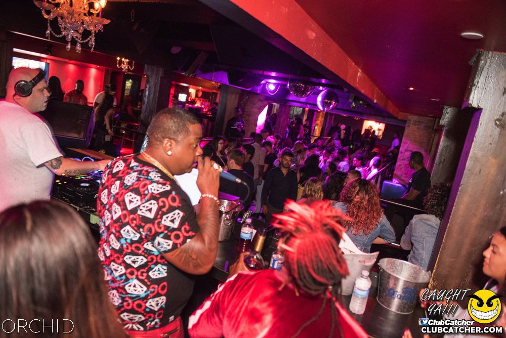 Orchid nightclub photo 113 - August 24th, 2019