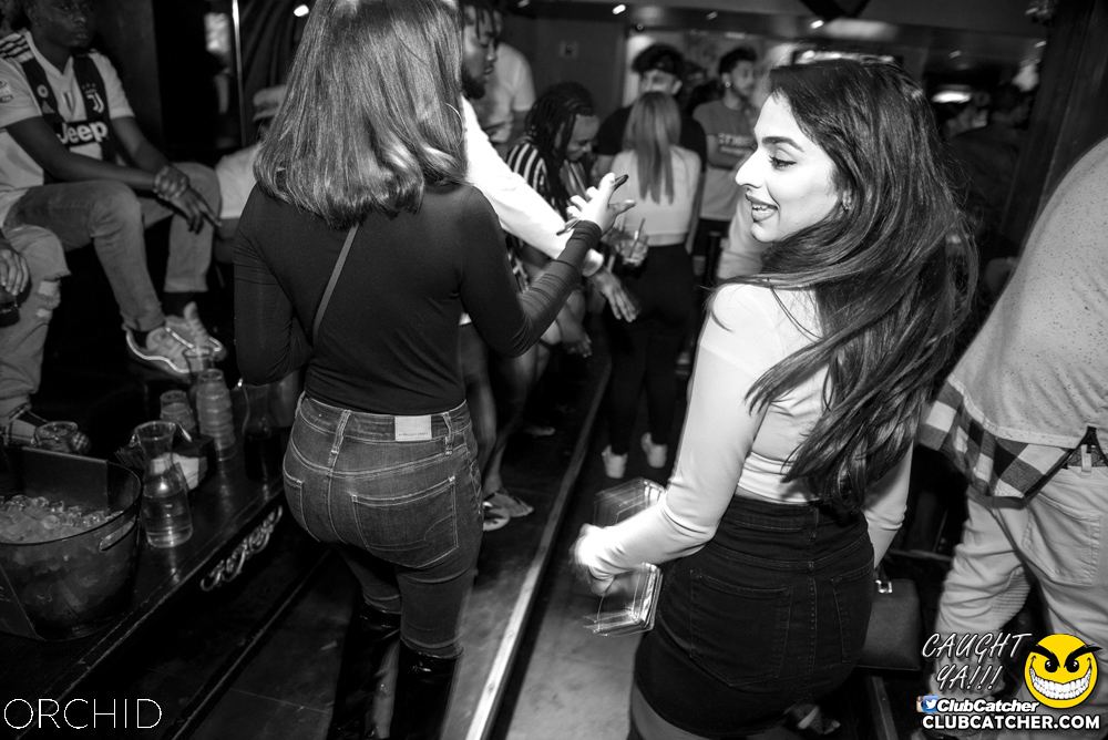 Orchid nightclub photo 123 - August 24th, 2019