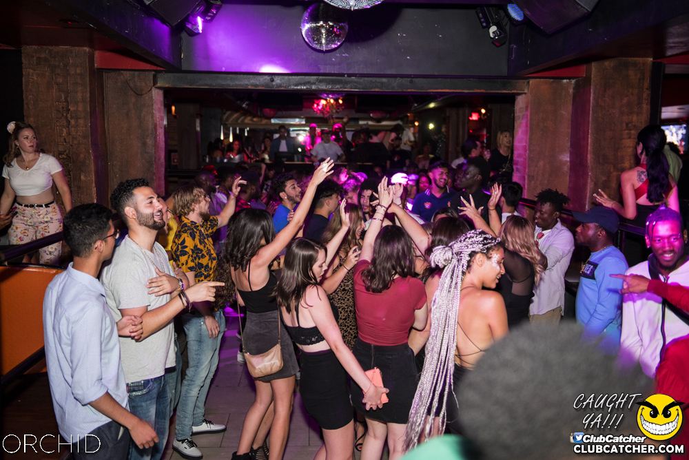 Orchid nightclub photo 14 - August 24th, 2019