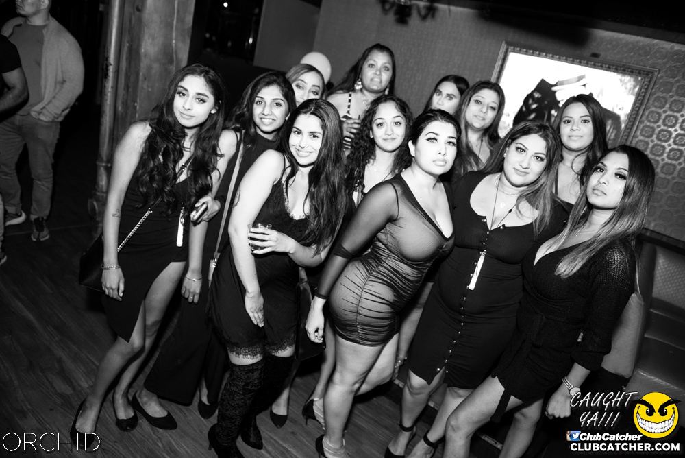 Orchid nightclub photo 131 - August 24th, 2019