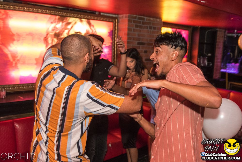 Orchid nightclub photo 139 - August 24th, 2019