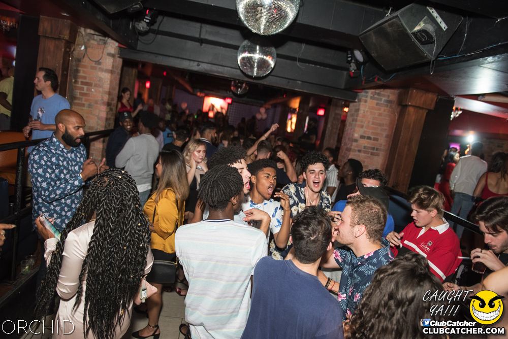 Orchid nightclub photo 140 - August 24th, 2019