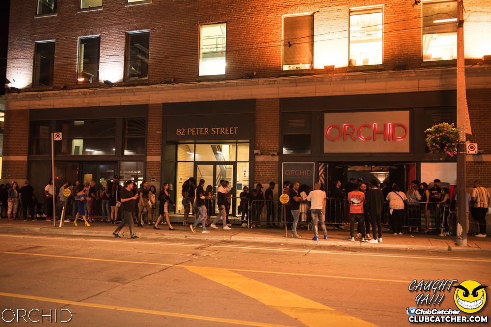 Orchid nightclub photo 143 - August 24th, 2019